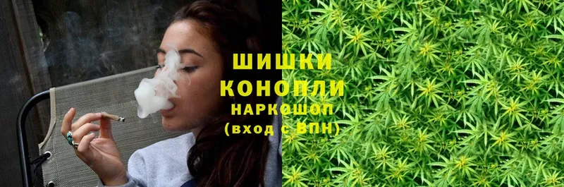 купить  цена  Нолинск  Бошки Шишки OG Kush 